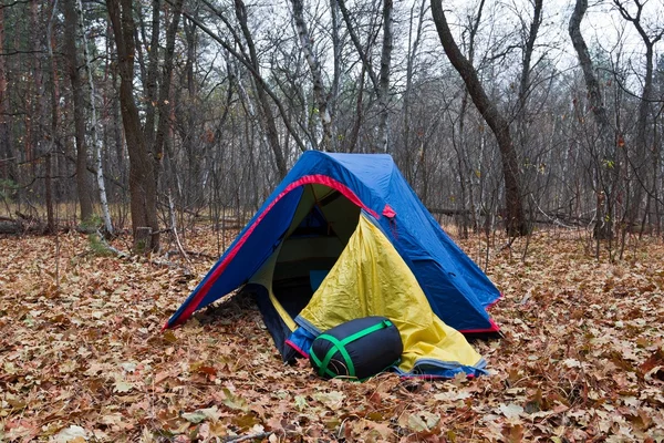 Egy tölgyerdőben kis turisztikai sátor — Stock Fotó