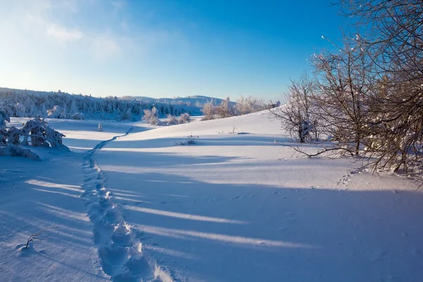 Снігова рівнина вранці — стокове фото