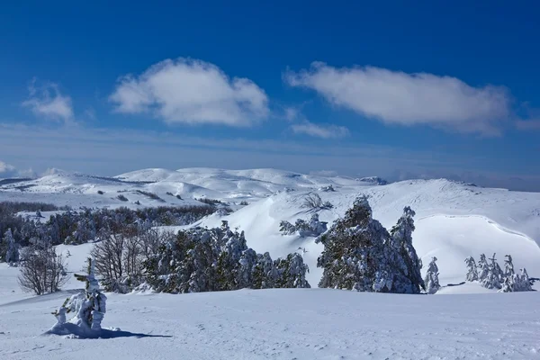 Snowbound mountain plateau — Stock Photo, Image