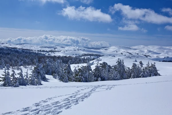 Pista en un invierno nevado colinas — Foto de Stock