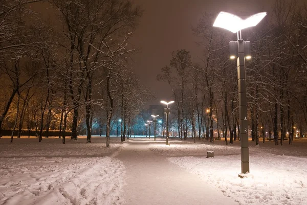 Winterpark auf der Kippe — Stockfoto