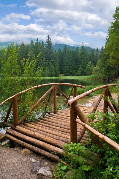 Élégant pont en bois — Photo