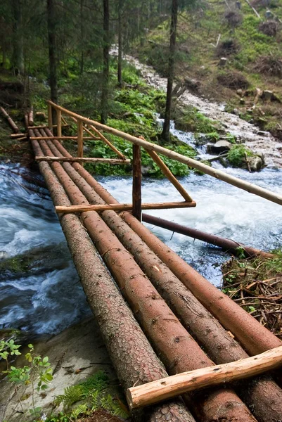 Dřevěný most přes řeku proudící — Stock fotografie
