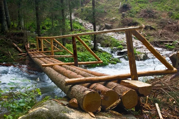 Puente de madera sobre el río bosque — Foto de Stock