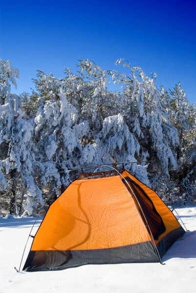 冬のキャンプ — ストック写真