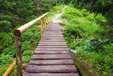 Wooden bridge on a forest river clipart