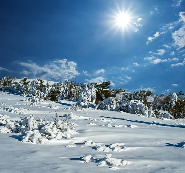 Sparkle winterdag — Stockfoto