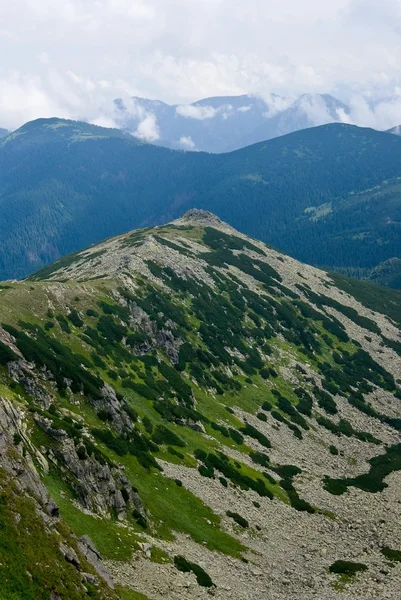 Dağ vadi — Stok fotoğraf