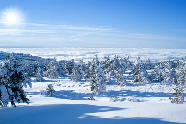 stock image Winter day in the mountains