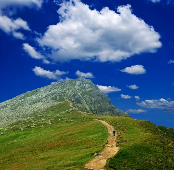 Grüne Bergspitze — Stockfoto