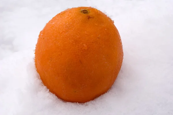 Orange i snö — Stockfoto