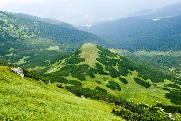 Зеленый холм в горном валу — стоковое фото