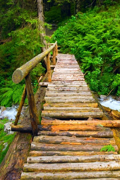 Dřevěný most přes řeku v lese — Stock fotografie