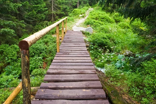 Pont en bois sur une rivière forestière — Photo