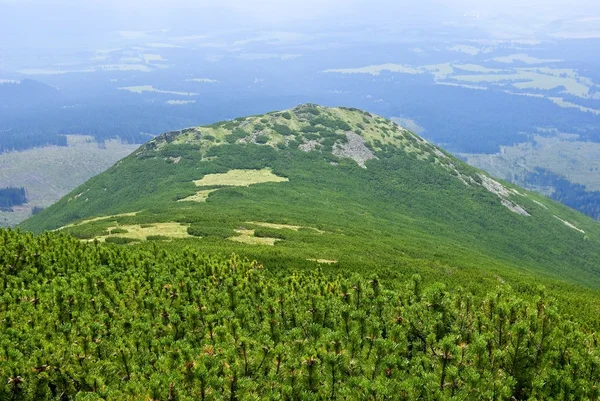 Yeşil dağ — Stok fotoğraf