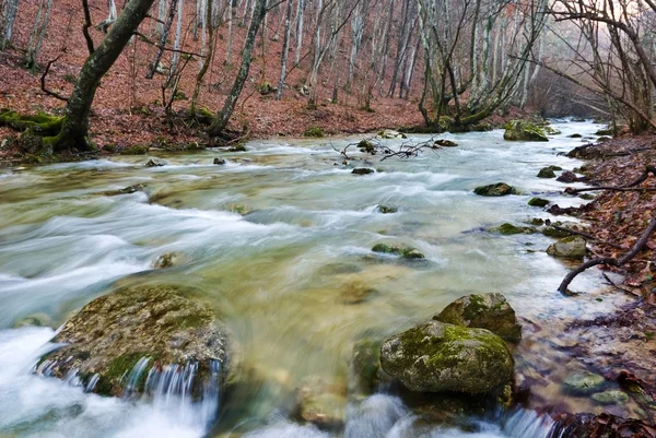Wiosna rwący rzeki — Zdjęcie stockowe