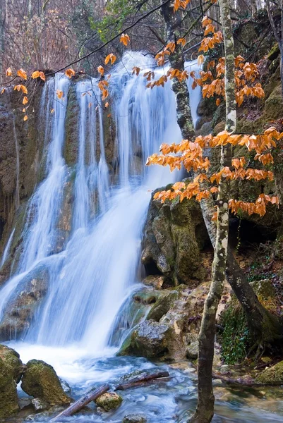 滝と赤い葉 — ストック写真