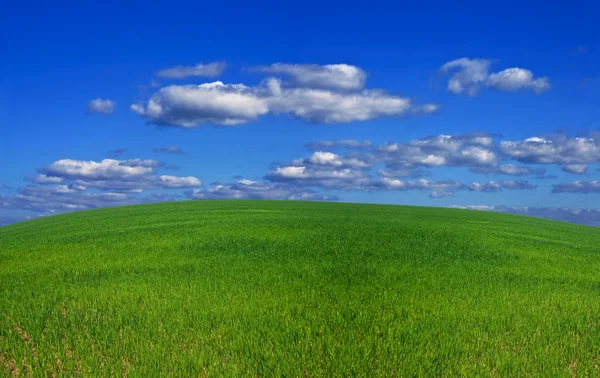 stock image Green hills