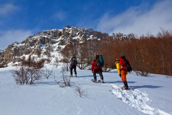 Туристы, поднимающиеся в зимние горы — стоковое фото