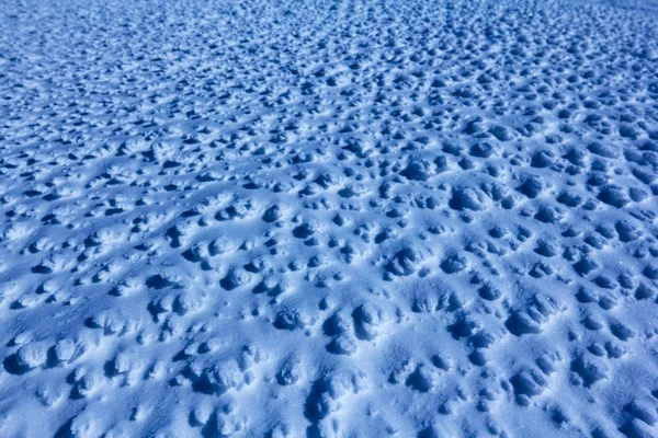 Mavi kar arka plan — Stok fotoğraf