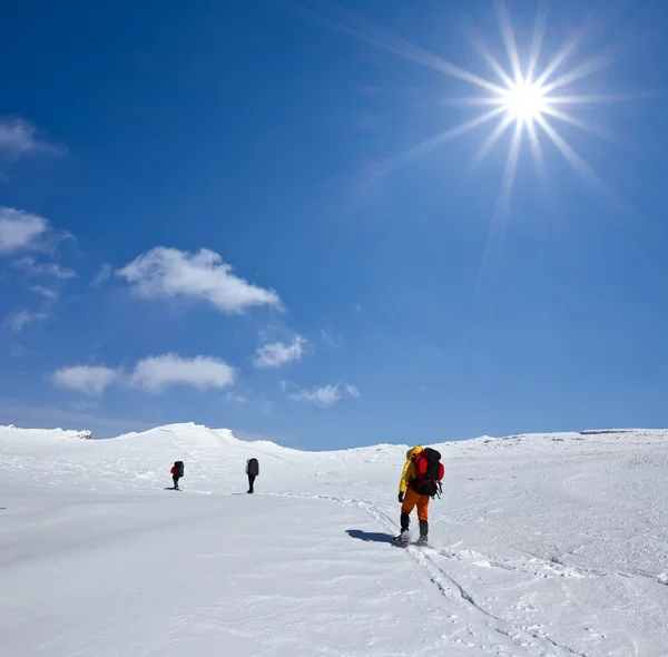 远足人士在冰天雪地的平原 — 图库照片