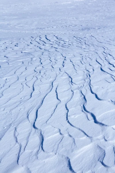 Textura branca da neve — Fotografia de Stock