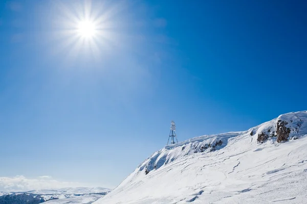 Inverno topo da montanha — Fotografia de Stock