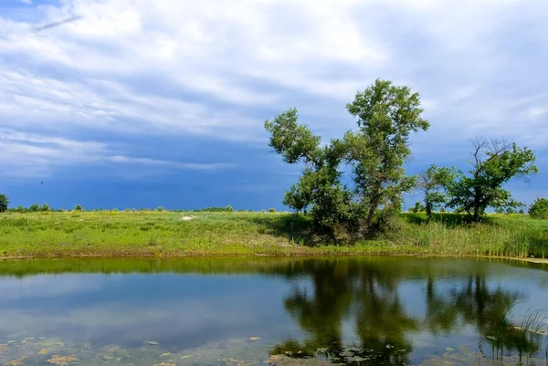 小さな夏の湖 — ストック写真