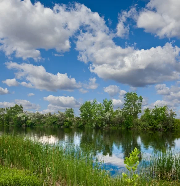 Sommerfluss unter wolkenverhangenem Himmel — Stockfoto