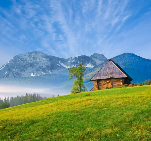 Pequena casa de madeira em um vale de montanha — Fotografia de Stock