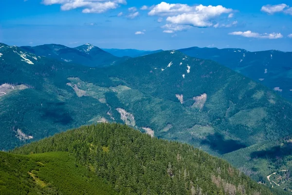 Καρπάθια πράσινο ορεινό τοπίο — Φωτογραφία Αρχείου