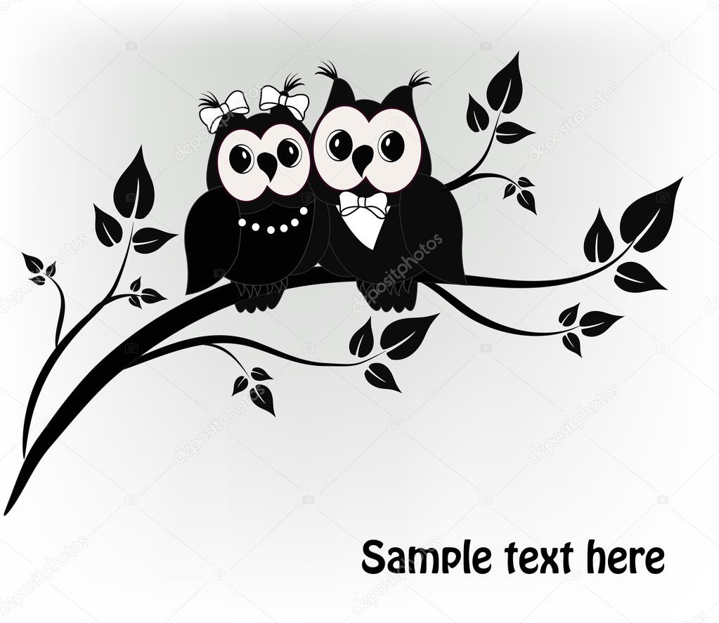 Two black and white on a black owl tree