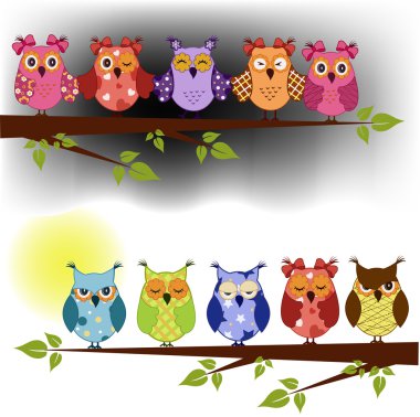 Family of owls sat on a tree branch at night and day clipart