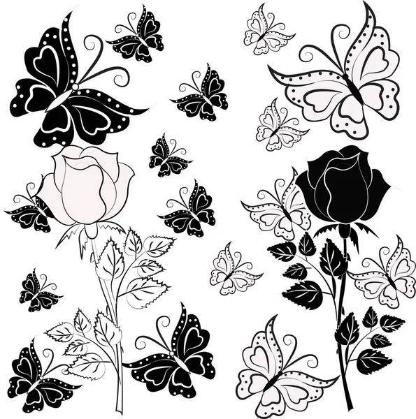 Rosa blanca y negra con mariposas — Vector de stock