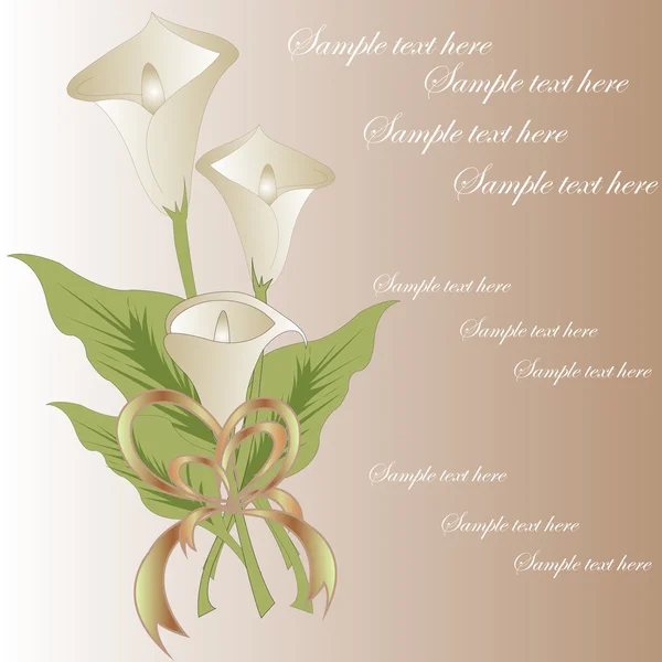 白卡拉丝的花束 — 图库矢量图片