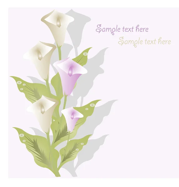 从白色和淡紫色卡拉丝的花束 — 图库矢量图片