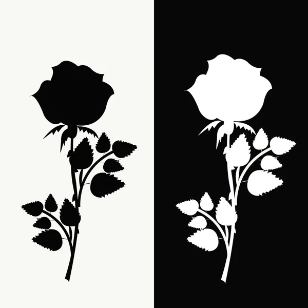 Twee rozen, zwart-wit — Stockvector