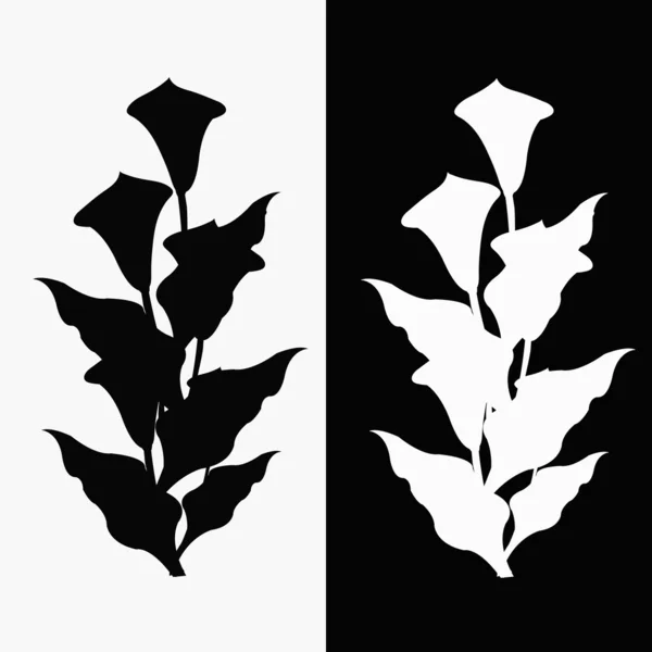 Two callas, black and white — Stock Vector