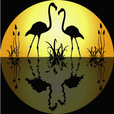 Reflection of two flamingos clipart