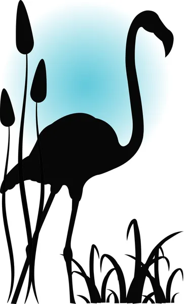 Flamingo i vatten — Stock vektor