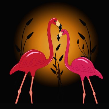 Two enamoured flamingos clipart