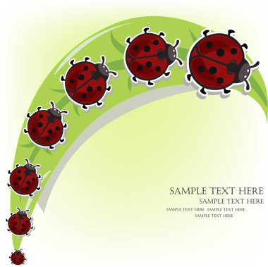 ladybugs bir çimenlerin üzerinde