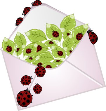 bir çiçek ile mektup ve ladybugs