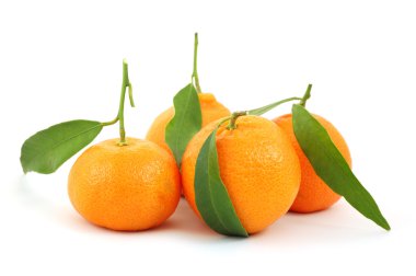 Mandarins isolated clipart