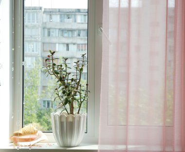 Window with flowerpot clipart