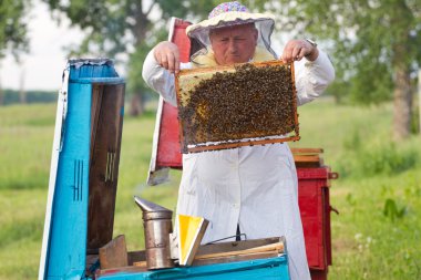 Beekeeper at work clipart