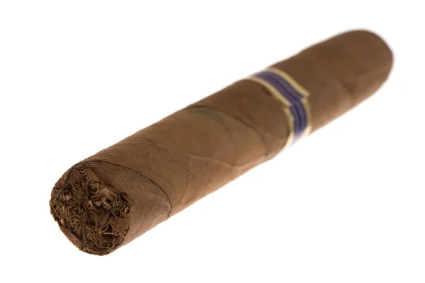 Havanna cigar — Stockfoto