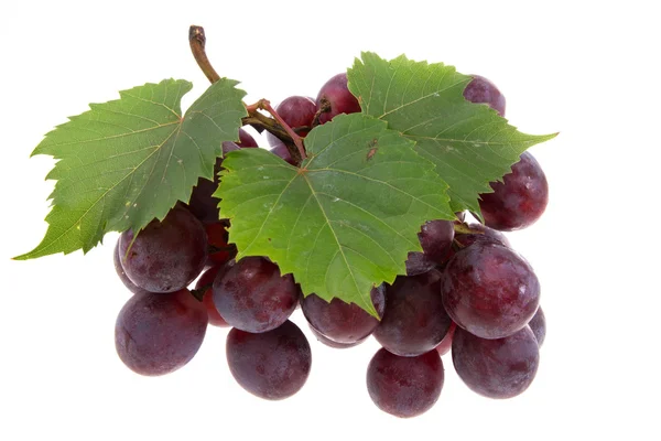 Winogron na na białym tle — Zdjęcie stockowe