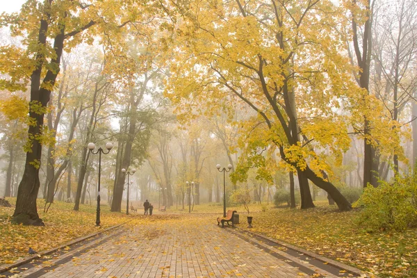 Mariinsky foggy park — Stock Photo, Image