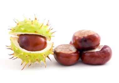 Chestnuts on isolated clipart